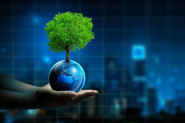 A person holding a globe with a tree growing from it symbolizing nature and green initiative