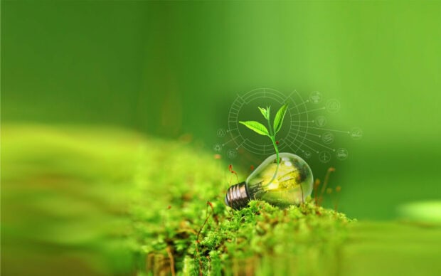 Small green plant growing inside a light bulb on lush moss representing go green concept