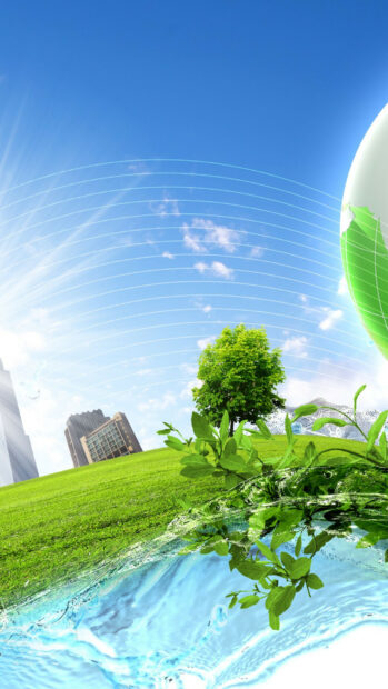 Fresh green leaves symbolize growth and nature on a sunny day with blue sky and water splash