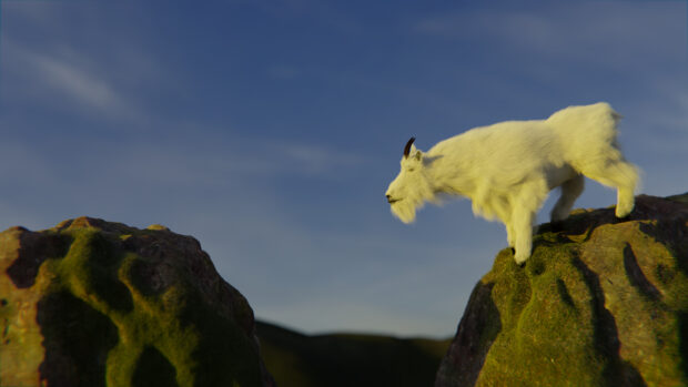 A mountain goat standing on mossy rocks against a blue sky