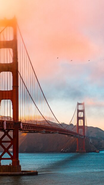 Golden Gate Bridge at sunset with hills and birds in the sky over water in 4k quality