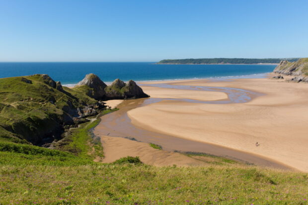 A wide sandy beach and grassy cliffs at Gower Peninsula under a clear blue sky