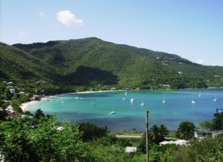 A scenic view of Grenada with green hills and turquoise bay filled with sailboats and lush vegetation