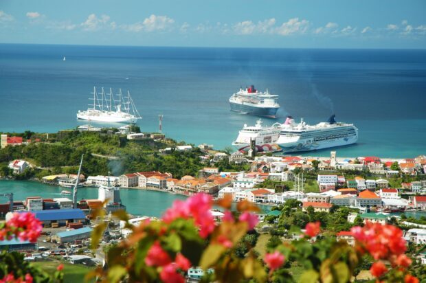 A vibrant aerial view of Grenada showcasing cruise ships docked near the colorful town and tropical flowers in the foreground