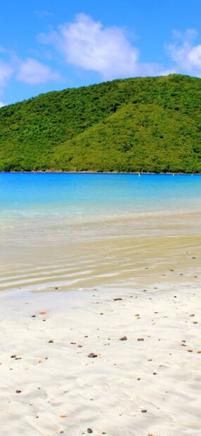 Sandy beach with clear water and green hills in Grenada
