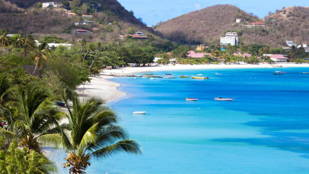 Scenic view of Grenada coastline with palm trees and boats on turquoise water