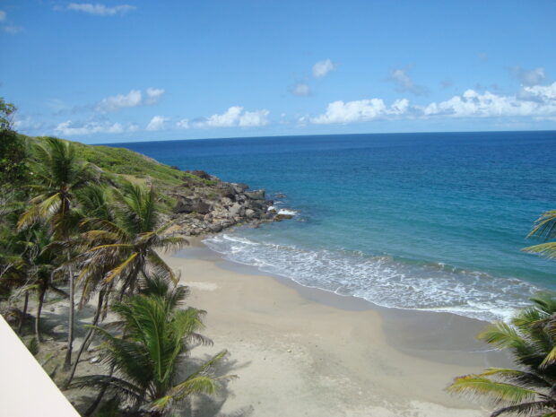 The tropical coast of Grenada with palm trees and clear blue ocean waves