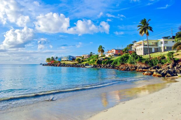 Tropical coast with houses and palm trees in Grenada