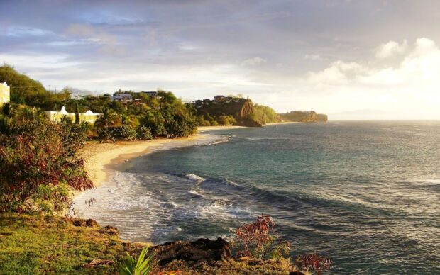 A serene coastline with lush greenery and houses overlooking the calm sea in Grenada
