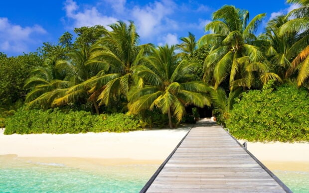 A tropical landscape with palm trees and a wooden pier leading to a scenic beach in Grenada
