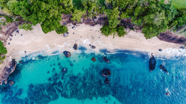Aerial view of clear turquoise water and beach with tropical greenery in Grenada