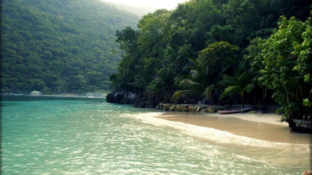 Lush tropical forest and sandy beach in Haiti creating a peaceful nature scene