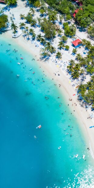 Aerial view of Haiti tropical beach with turquoise water and palm trees on the shore