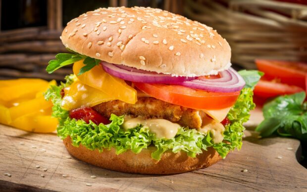 Crispy chicken sandwich with cheddar cheese lettuce tomato and onion on a sesame seed bun
