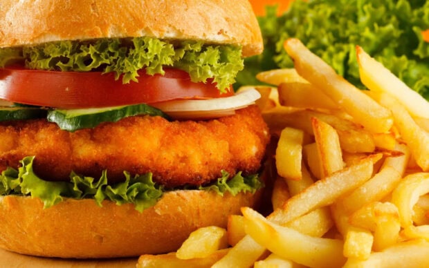 Crispy fish fillet hamburger with fresh vegetables and golden fries on a wooden surface