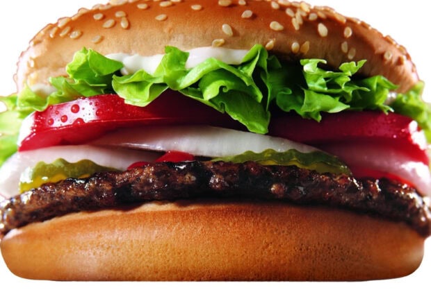 A fresh hamburger with lettuce tomato onion and grilled meat patty close up view