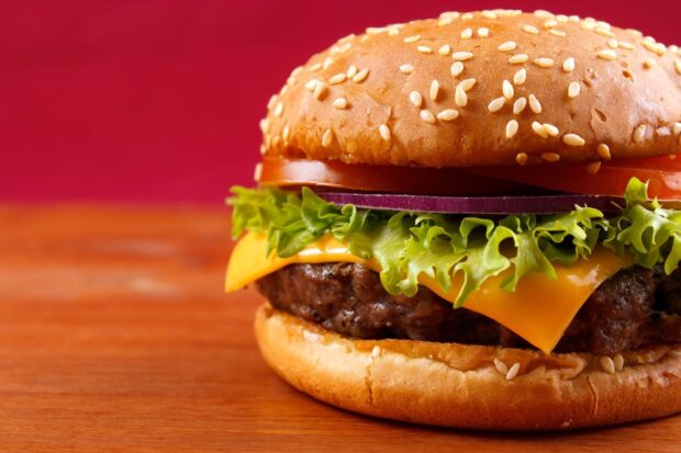 A close up of hamburger with lettuce cheese and tomato on a sesame seed bun