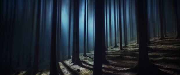 Dark haunted forest with tall trees and eerie blue light filtering through the fog