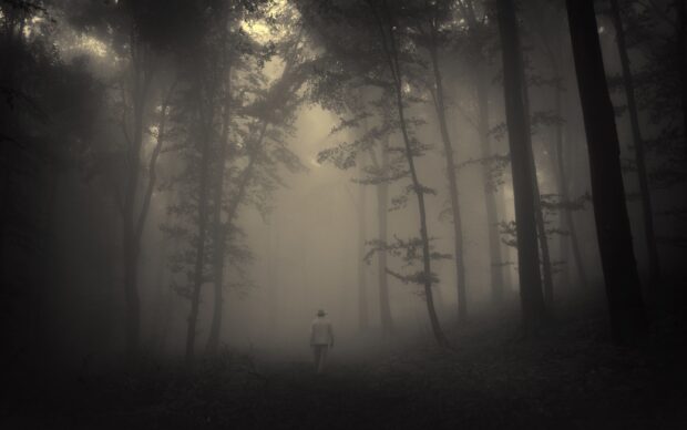 A person walking alone through a haunted forest with mist and tall trees surrounding them