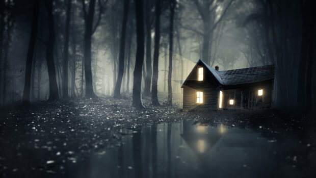 A haunted forest with a glowing cabin surrounded by tall trees and fog at night