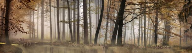 A misty haunted forest scene with tall trees and a deer near a calm pond