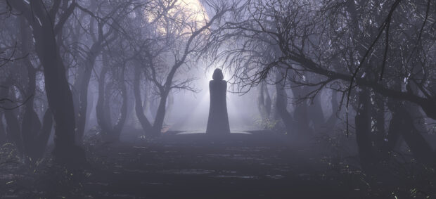A mysterious figure stands in a haunted forest surrounded by eerie leafless trees