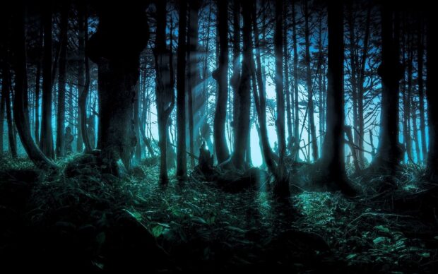 Dark haunted forest with glowing blue light and dense trees at night