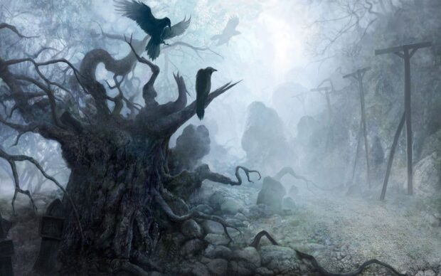 Dark twisted tree with crows in a haunted forest covered in thick fog