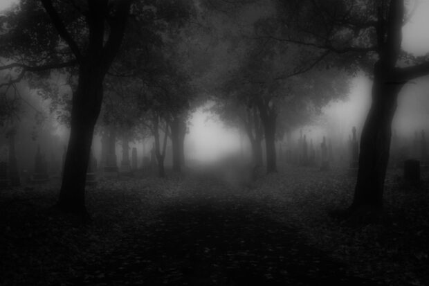 A haunted forest path lined with trees and tombstones shrouded in eerie fog