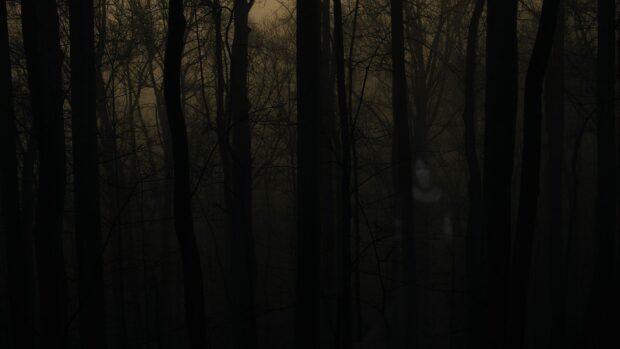 A dark haunted forest with eerie trees and a ghostly figure among the shadows