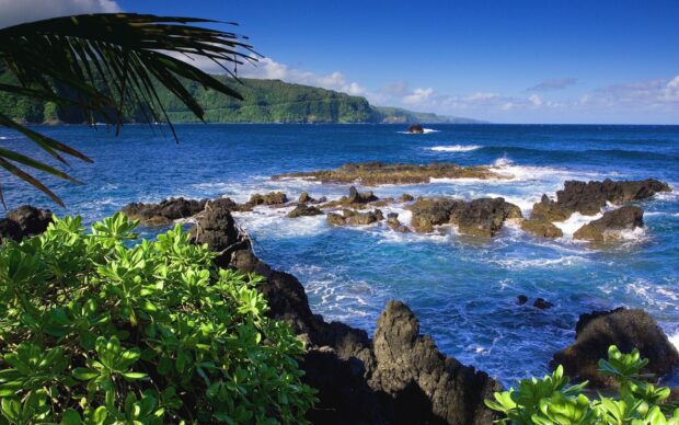 Rocky coastline and lush greenery on Hawaiian Islands coast