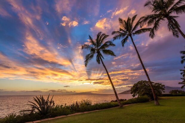 Tropical Hawaiian Islands sunset with palm trees and vibrant sky