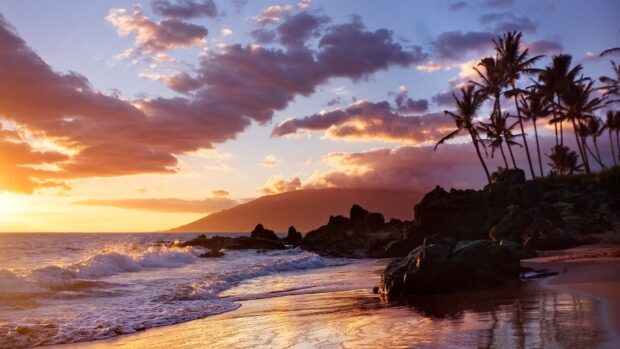 A stunning Hawaiian Islands sunset with palm trees and waves on the beach at golden hour