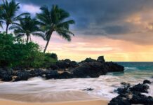 Tropical island with palm trees and black volcanic rocks on Hawaiian Islands coast