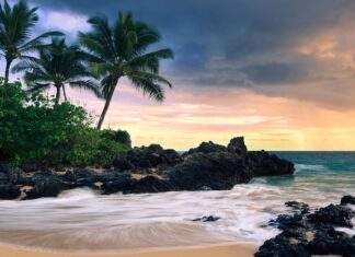 Tropical island with palm trees and black volcanic rocks on Hawaiian Islands coast