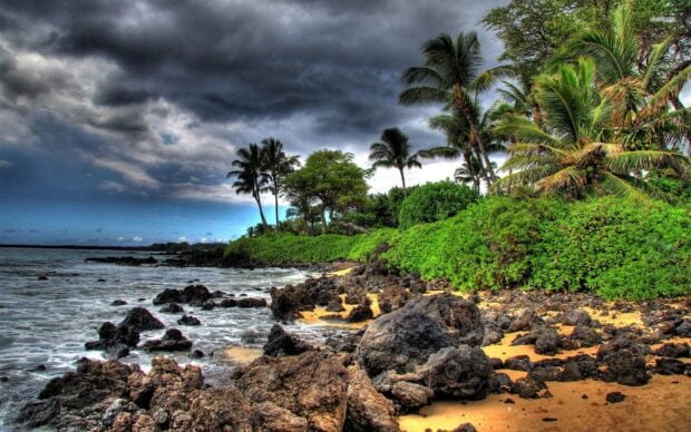 Volcanic rocks and lush greenery along the Hawaiian Islands coastline under stormy skies