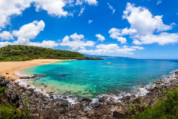 A rocky shore and vibrant turquoise water along the Hawaiian Islands coastline