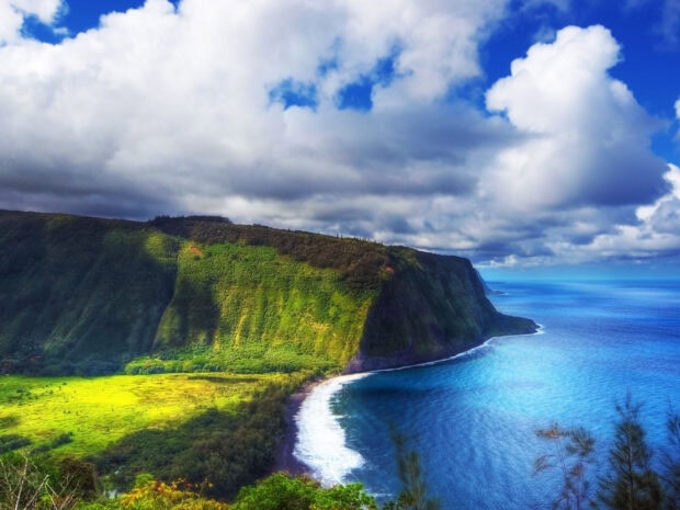 Lush Hawaiian Islands cliff with dense forest and vibrant coastal landscape under blue sky
