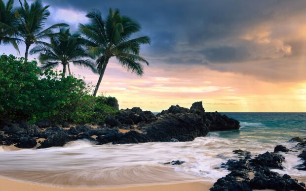 Tropical Hawaiian Islands with black lava rocks and palm trees at sunset