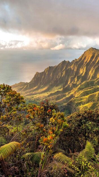 Lush Hawaiian Islands mountain landscape with vibrant tropical foliage and ocean view at sunrise