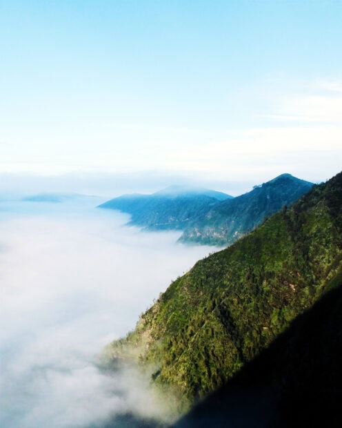 Lush Hawaiian Islands mountain covered with fertile greenery