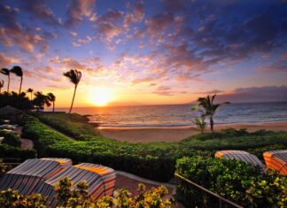 Hawaiian Ocean Wallpapers 2K Desktop Sunset over Hawaiian ocean with palm trees and lush greenery