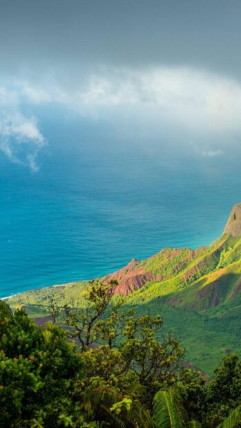 Lush green vegetation with ocean and mountains in Hawaiian nature scenery