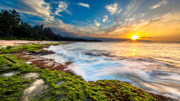 Hawaiian ocean during sunset with moss covered rocks and waves crashing on the shore