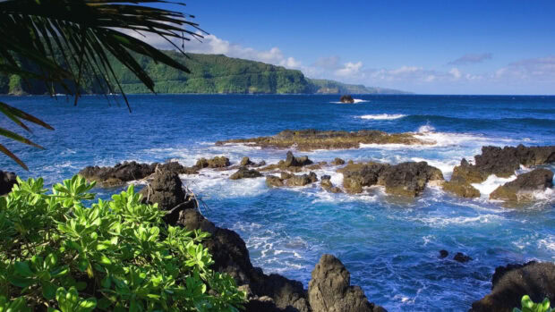 Rocky coastline with Hawaiian ocean waves and green foliage in vivid blue waters