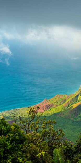 Lush Hawaiian ocean coastline with vibrant foliage under a cloudy sky