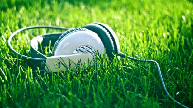 White headphones laying on fresh green grass on a sunny day