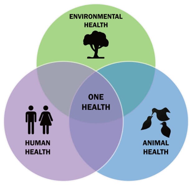 A Venn diagram showing environmental health human health and animal health intersecting with one health at the center
