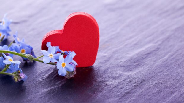 Red heart decoration with blue flowers on purple surface showing hearts and flowers details