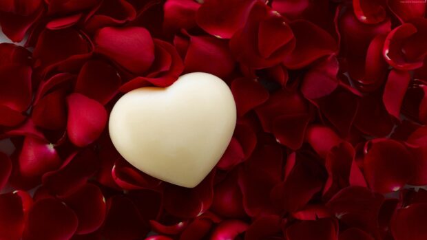 A white heart surrounded by red rose petals on a dark surface